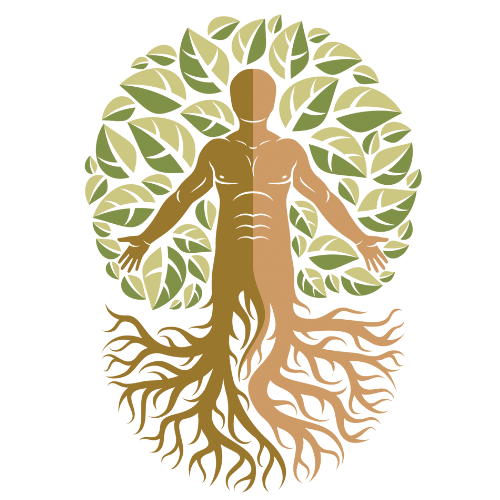1764955622 holistic medicine doctors 1